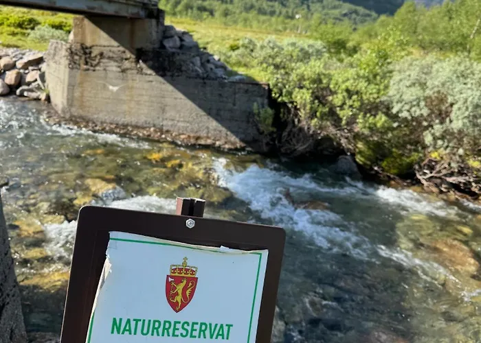 Handeland Near Trolltunga And Pulpit Rock Sleeps 18 With Sauna Semesterbostad